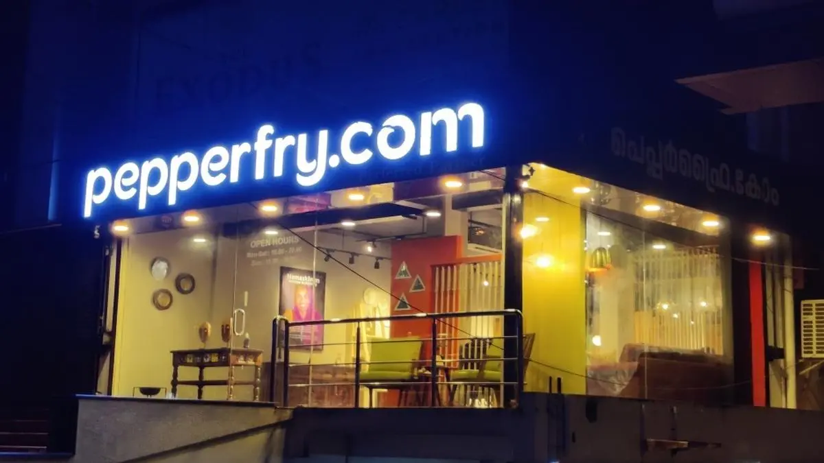 Goldman Sachsbacked Pepperfry’s net loss grew 83 in FY22 The Hindu